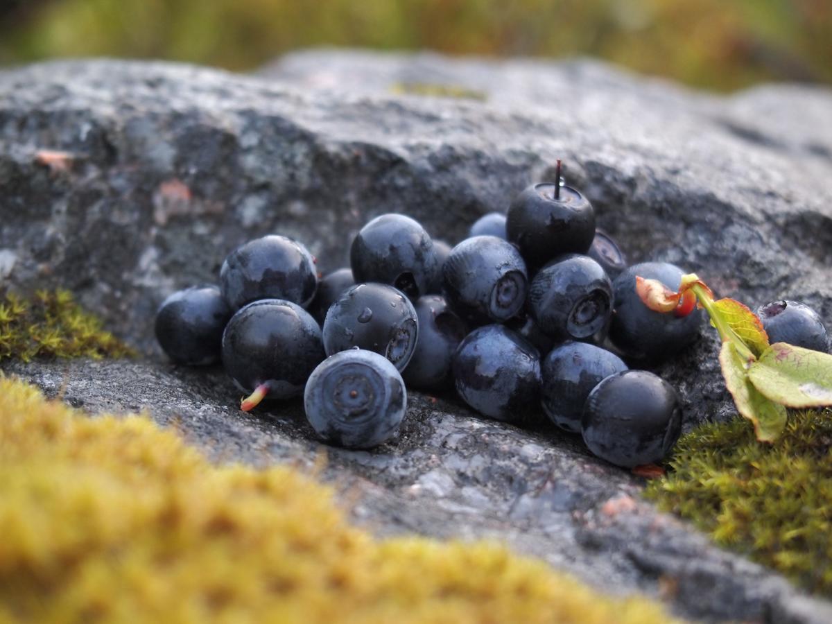 Vila Koskenselaen Lomakylae Puumala Exteriér fotografie