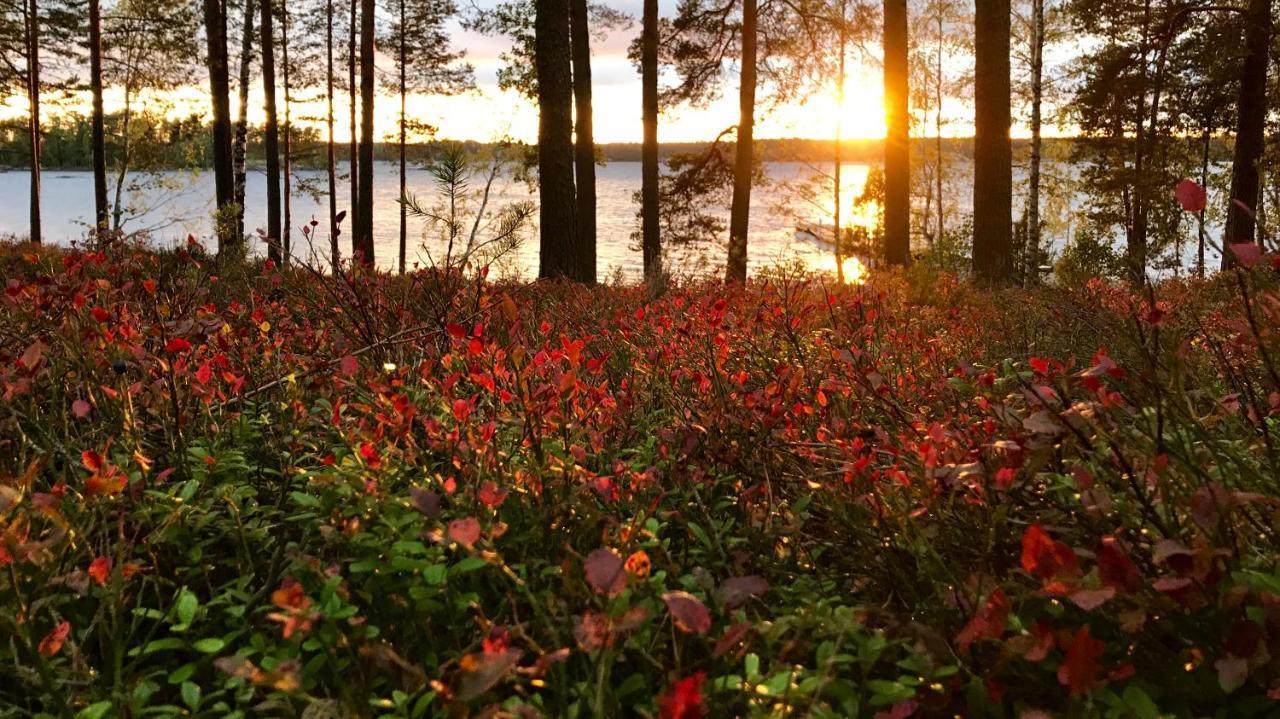 Vila Koskenselaen Lomakylae Puumala Exteriér fotografie