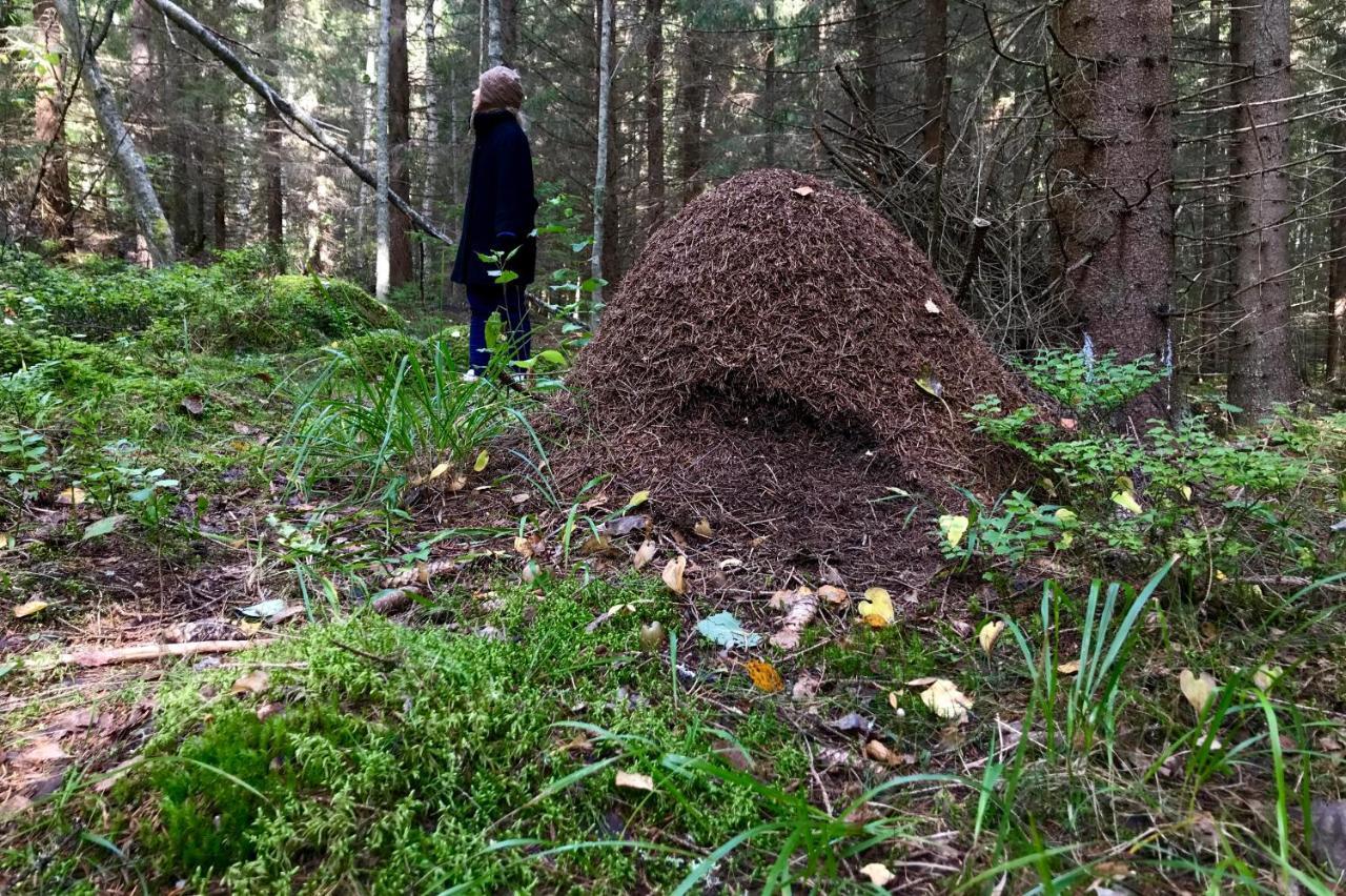 Vila Koskenselaen Lomakylae Puumala Exteriér fotografie