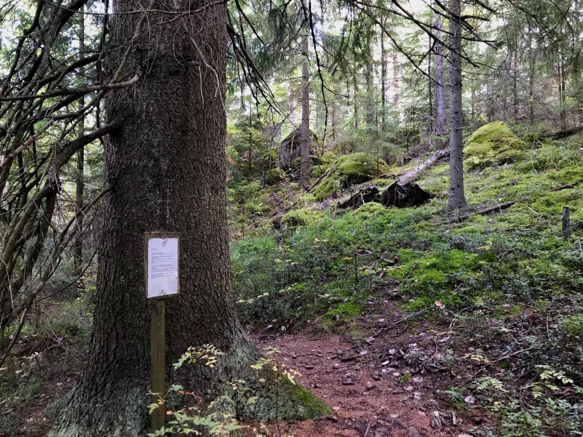 Vila Koskenselaen Lomakylae Puumala Exteriér fotografie
