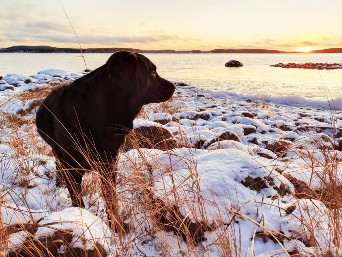 Vila Koskenselaen Lomakylae Puumala Exteriér fotografie